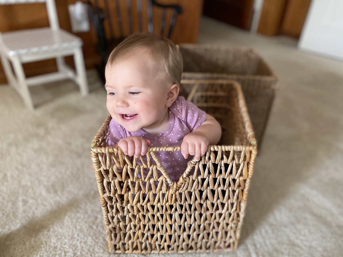 FunnyLikeAClown's tweet photo. A baby is 100% cuter when they are in a basket. 

#babyinabasket #babyfact https://t.co/SB7af0x9Hs