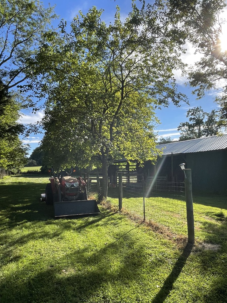 Barb4Hmom's tweet photo. “Field of Dreams”- Brilliant sun, smells of fresh cut pasture, low humidity- #IsThisHeaven?  Yes it’s #GlennFamilyFarm!  (Project # 32 roof extension at old barn ….#RetirementRules ) https://t.co/FqFAYEQhhb
