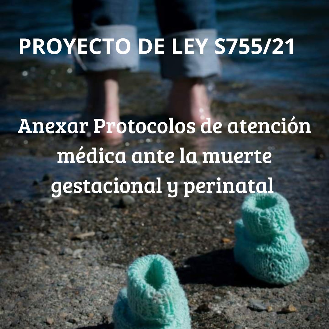 tu imagen, mi recuerdo tweet media
