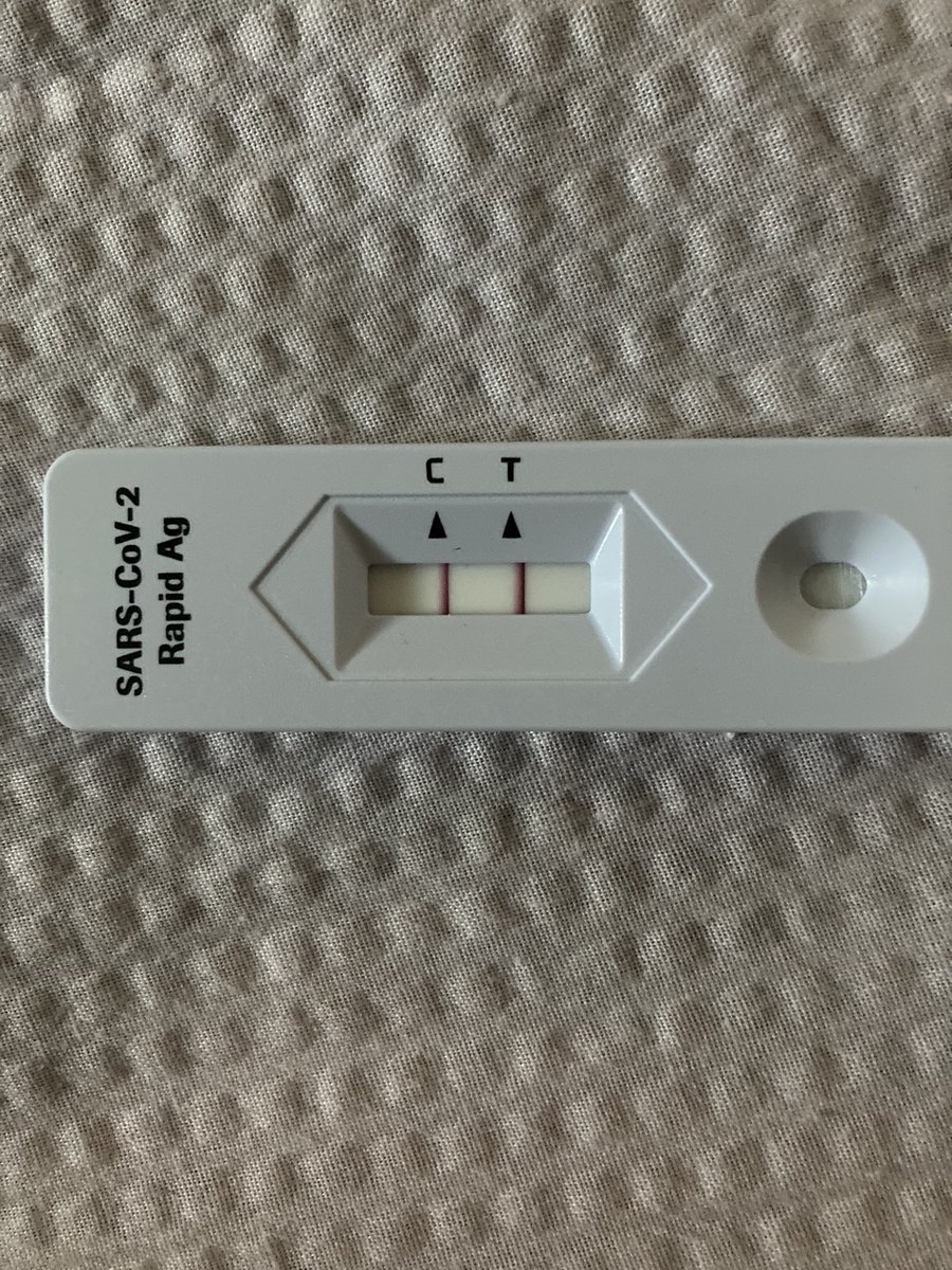 そういえばしっかり陽性でした、俺に近づかないでください