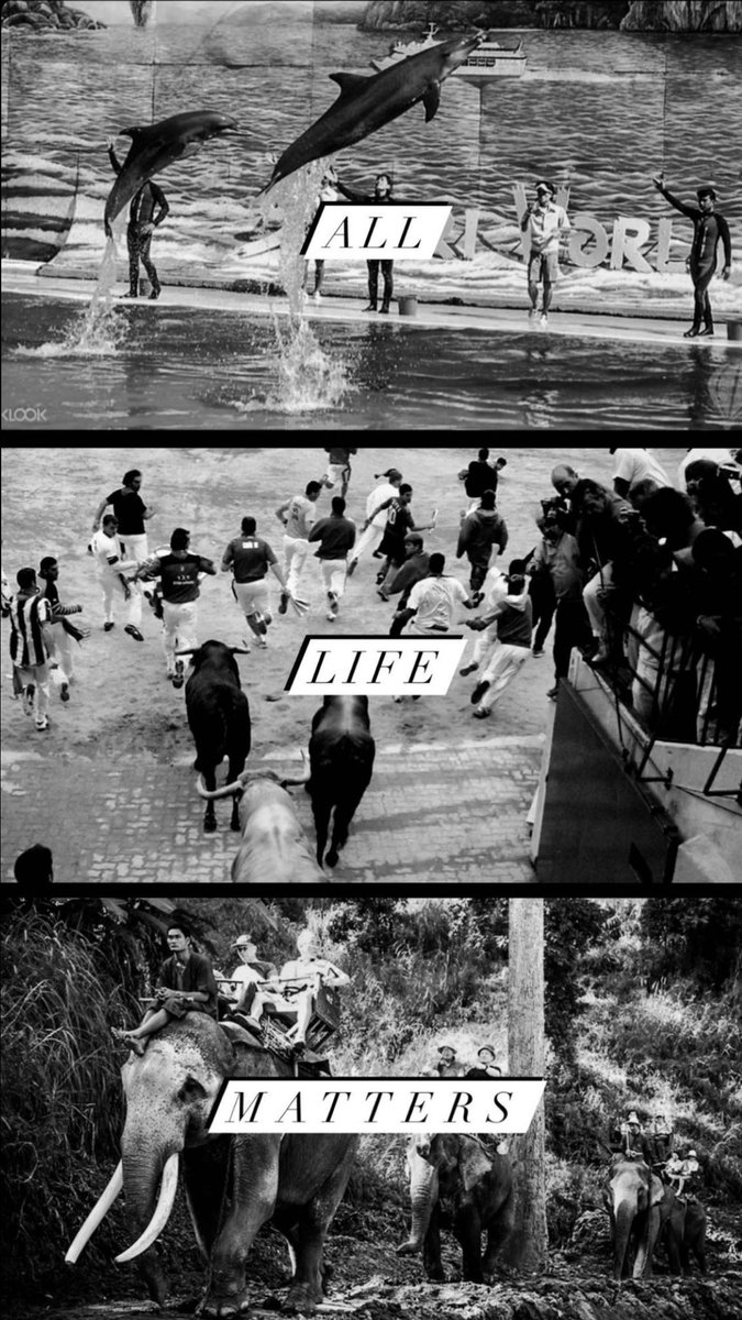 Helaas hebben veel vakantiegangers het nog niet door. 
Of willen ze het niet zien. 
Dat ze met hun gedrag verschrikkelijk dierenleed in stand houden. 
En maar trots foto’s en filmpjes delen op sociale media 🤮😢