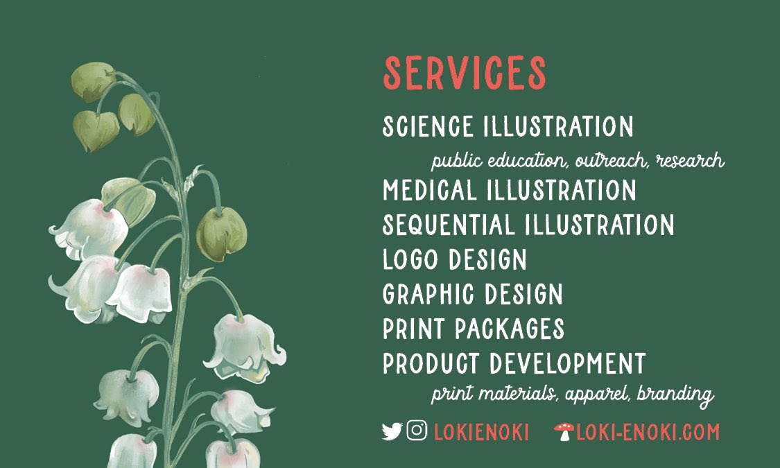 LokiEnoki's tweet photo. @fleshpillow Hi I would love to be considered! I have experience working with plant shops on merchandise and branding and I am also a certified botanical illustrator! Thank you for your consideration https://t.co/yvojhUzg7k