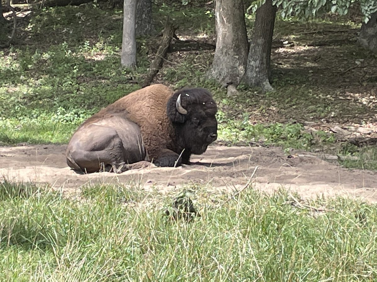 Saturday afternoon nature at <a href="/LoneElkPark/">Lone Elk Park</a>