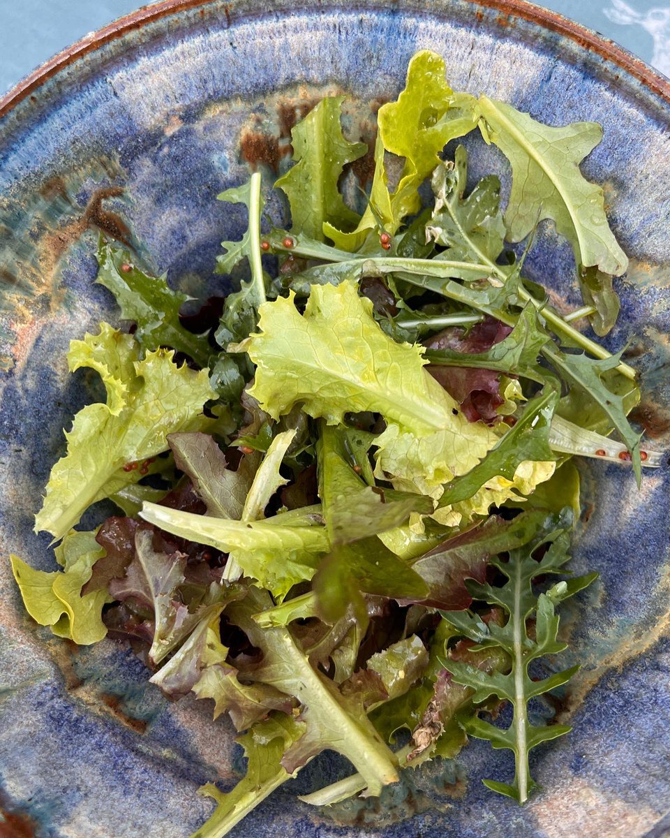 AnnetteWardell's tweet photo. Wonderful al fresco dinner in the (much cooler!) garden this evening. Amongst a mezze of dishes, I was just so chuffed with my #homegrown #tomatoes..sooo sweet…and homegrown salad. 💖 #vegansoftwitter #gardening #urbangarden #growingveg #operasingersoftwitter https://t.co/u8Tusv0OaR
