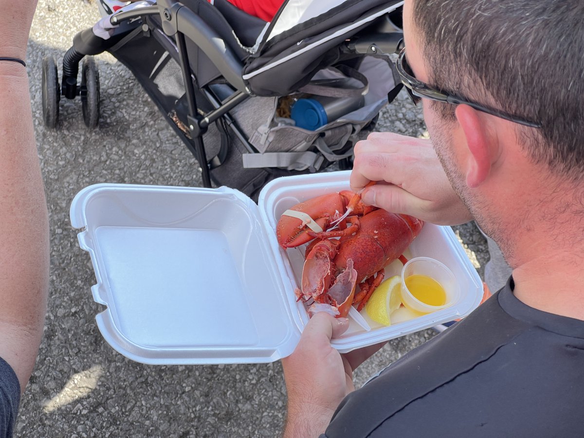 GreatInland's tweet photo. Who knew lobsters were so popular? These bad boys are in popular demand. https://t.co/fxhYOoZMPP