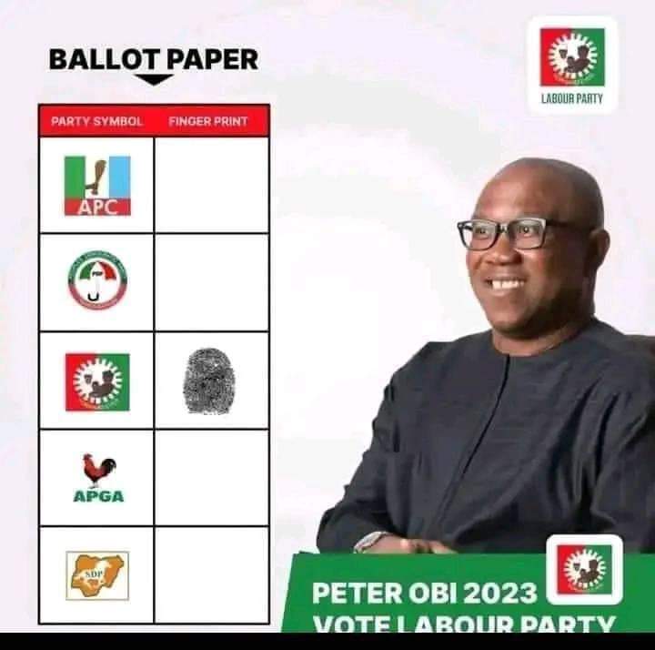 ComrTerry's tweet photo. @PeterObi The only hope for Nigeria, it's now or never. https://t.co/utWaIxTbPr