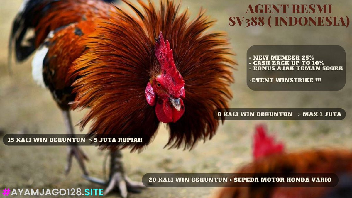 ArenaWala's tweet photo. 🚨 | INI DIA:

SABUNG AYAM ONLINE
🌟Daftar : https://t.co/hEWhOdFVaD

#daftarsabungayamonline #situssabungayamonline
#sabungayamonlineterpercaya #permainansabungayam #livesabungayam #videosabungayamterbaru #agensabungayam #daftarsv #daftarsv338 #daftarsv388 #daftarsv388 https://t.co/HQiFzg1rLX