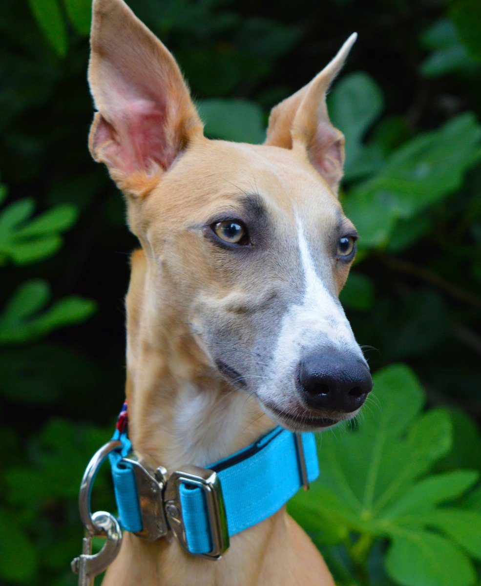 He has the prettiest eyes 😍😍😍
