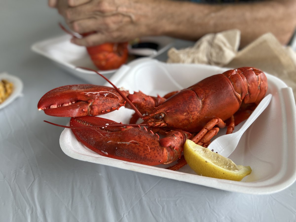 GreatInland's tweet photo. Who knew lobsters were so popular? These bad boys are in popular demand. https://t.co/fxhYOoZMPP