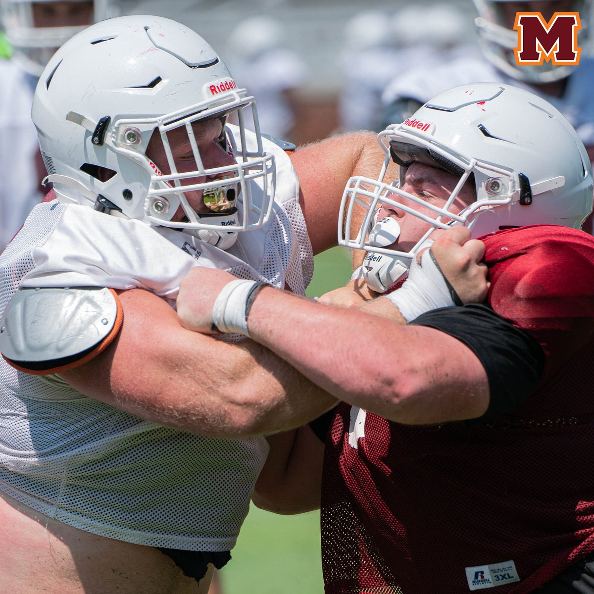 Maryville College Football tweet media