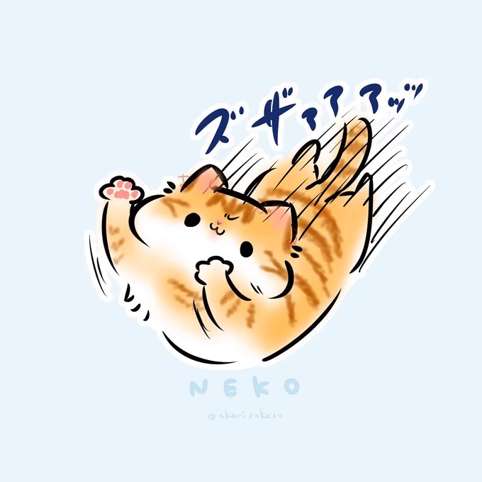 猫ちゃんもちもちモデル募集、今日までですっ!!  