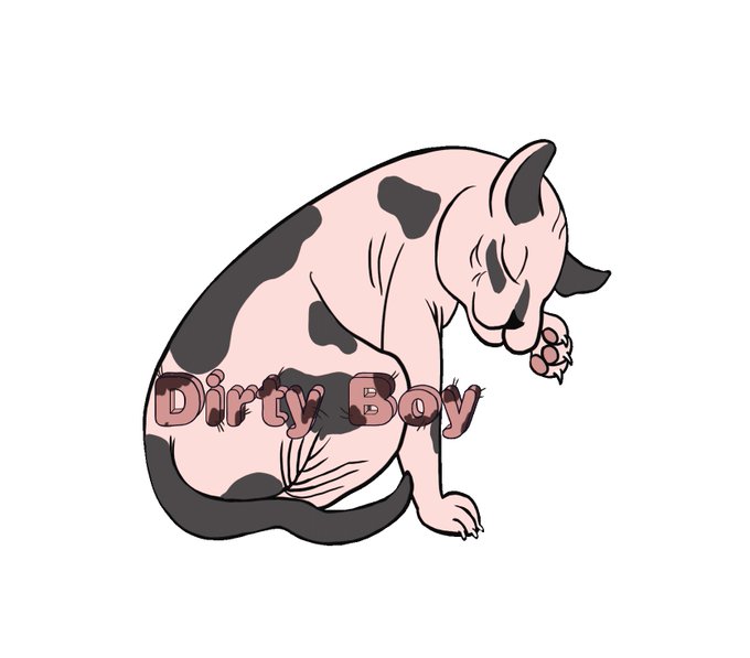 Who loves dirty boys? #transman #sexyftm #nakedpussy #sphynx https://t.co/shQMSBEW8o<a href="/tag/transman"class="tags">#transman</a><a href="/tag/sexyftm"class="tags">#sexyftm</a><a href="/tag/nakedpussy"class="tags">#nakedpussy</a><a href="/tag/sphynx"class="tags"><span>#sphynx</span></a>