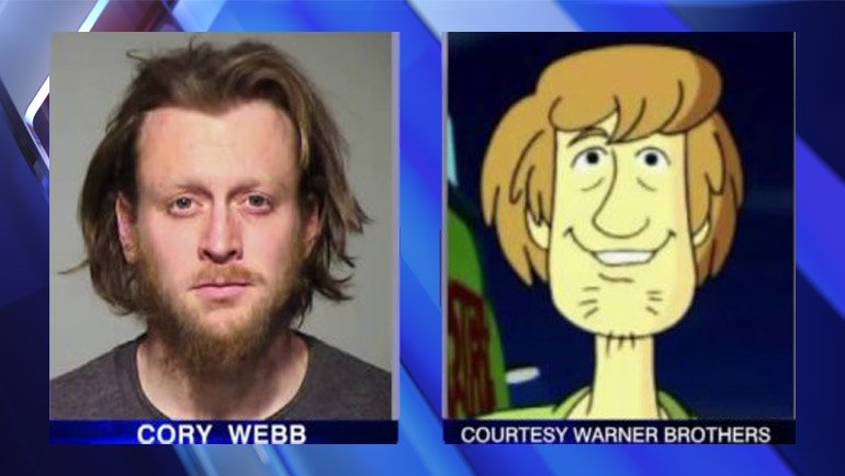 The Scooby snacks made me do it officer