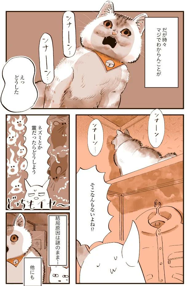 『うちの猫は仲が悪い』の出張掲載が更新されております!
今回は悪魔化するフミちゃんの話。
いつもは猫の意志表示が分かるけど…今日のは全然分からない!?/うちの猫は仲が悪い - レタスクラブhttps://t.co/8Me2Ey3iSw