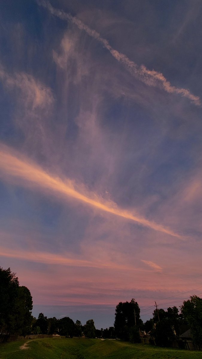 Scott Weldon tweet media