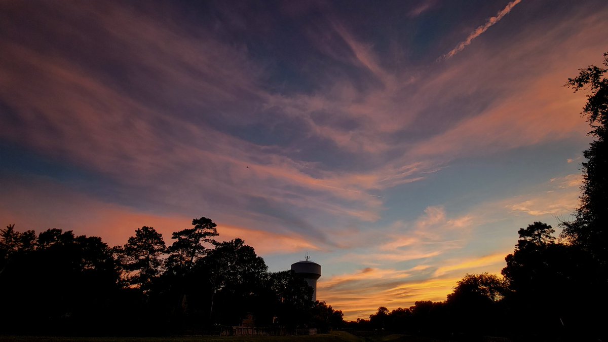 Scott Weldon tweet media