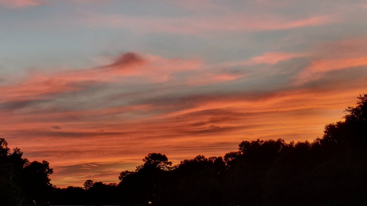 Scott Weldon tweet media