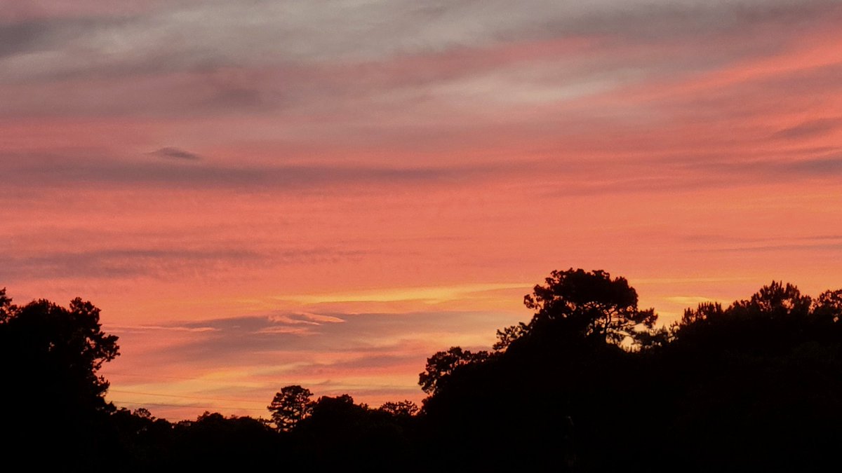 Scott Weldon (@scott_a_weldon) on Twitter photo A belated fulfillment of your request <a href="/mattlanza/">Matt Lanza</a> from Kingwood this evening. #sunset #livableforest #kingwoodtx A belated fulfillment of your request <a href="/mattlanza/">Matt Lanza</a> from Kingwood this evening. #sunset #livableforest #kingwoodtx