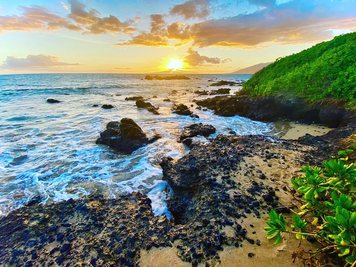 ⒹⓇ. ⓀⒺⒻⓄⓇ tweet media