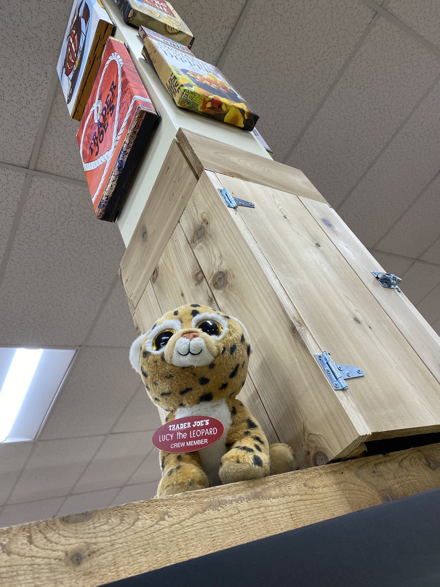 tadashisoga's tweet photo. Hi LUCY♪

I’m not sure how many of you know that at Trader’s Joes there is a hidden stuffed animal and if you find it you get a candy♪
I couldn’t see them for a while (due to Covid, I guess), but finally they’re back!

#TraderJoes 
#HideAndSeek
#トレジョでぬいぐるみ探し https://t.co/tChvUhXaxE