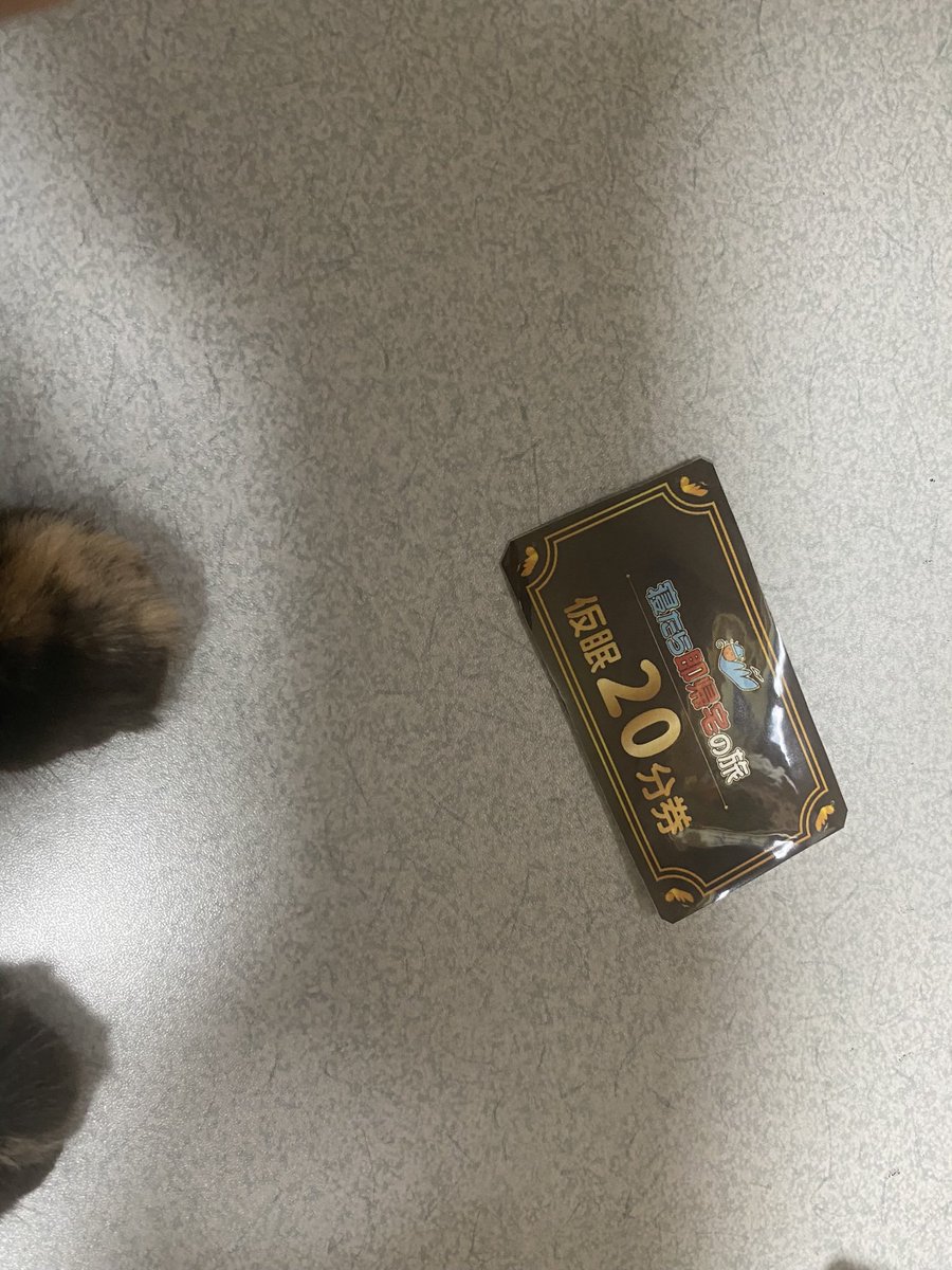akiyamapeison's tweet photo. 出かける前に何気なくポケットに手突っ込んだら仮眠券出てきた。笑

洗濯したあとだからよれちゃってる😅

#寝たら即帰宅の旅
#東海オンエア　さん
#チェックマン https://t.co/BzPXpBBDbE
