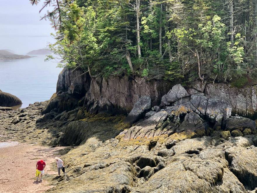 hikebiketravel's tweet photo. Fun things to do outdoors in New Brunswick right now via @outandacross https://t.co/HNCxFrKFu7
#VisitNB #traveltips #getsoutside https://t.co/Z0RtFUMueY