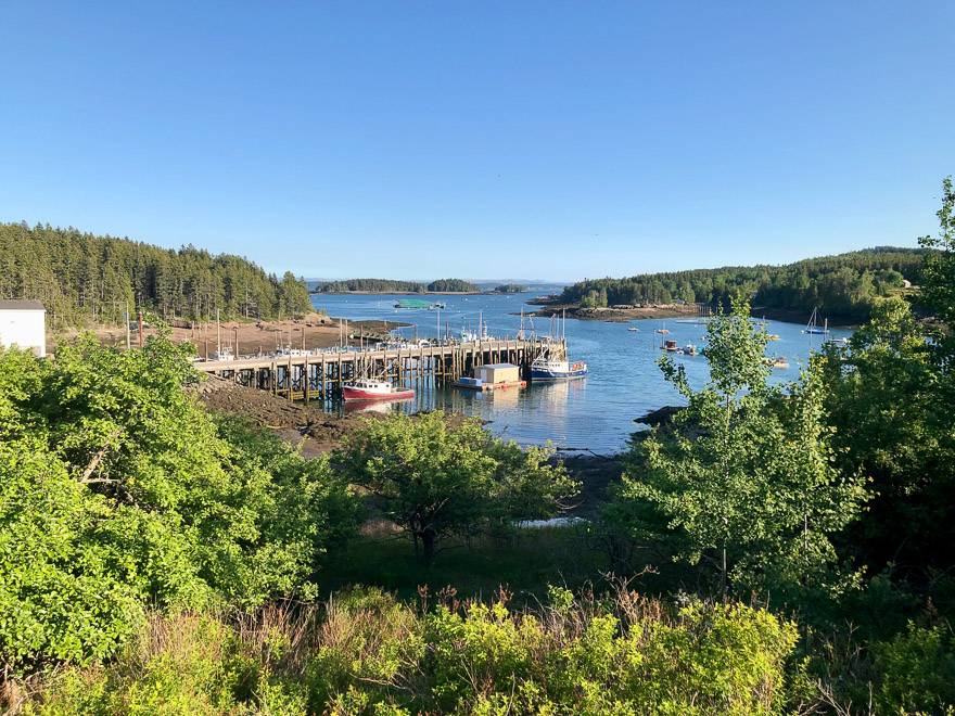 hikebiketravel's tweet photo. Fun things to do outdoors in New Brunswick right now via @outandacross https://t.co/HNCxFrKFu7
#VisitNB #traveltips #getsoutside https://t.co/Z0RtFUMueY