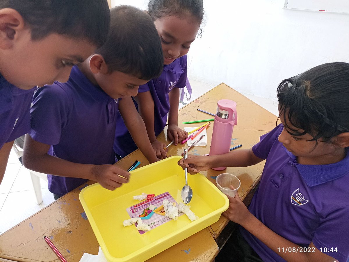 SchoolHithadhoo's tweet photo. “One learns from books and example only that certain things can be done. Actual learning requires that you do those things.” Frank Herbert @MoEdumv https://t.co/DhhSp6HK0b