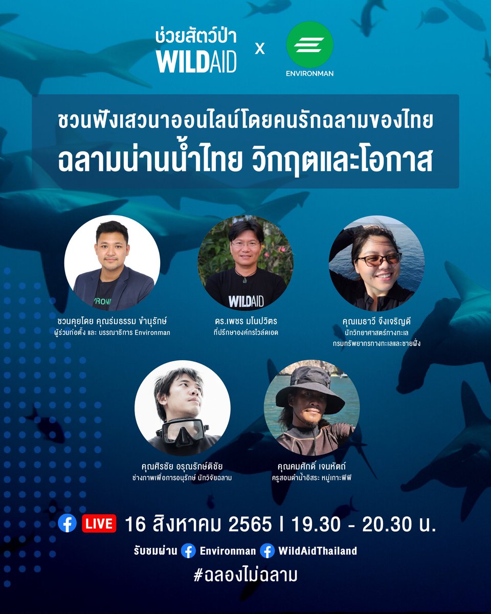 WildAidThailand's tweet photo. อังคาร 16 ส.ค.นี้ ชวนฟังเสวนาสด “ฉลามน่านน้ำไทย วิกฤตและโอกาส”
 
🦈 ฉลามน่านน้ำไทยน่าห่วงแค่ไหน 
🦈 บทเรียนจากอ่าวมาหยาจะเป็นแนวทางจัดการพื้นที่เพื่ออนุรักษ์ฉลามต่อไปอย่างไร 
🦈 ทะเลที่มีฉลามกับคุณค่าด้านการท่องเที่ยว 

ชมสดผ่าน FB @environmanth  @WildAidThailand 

#ฉลองไม่ฉลาม https://t.co/y1CdBKeWxE