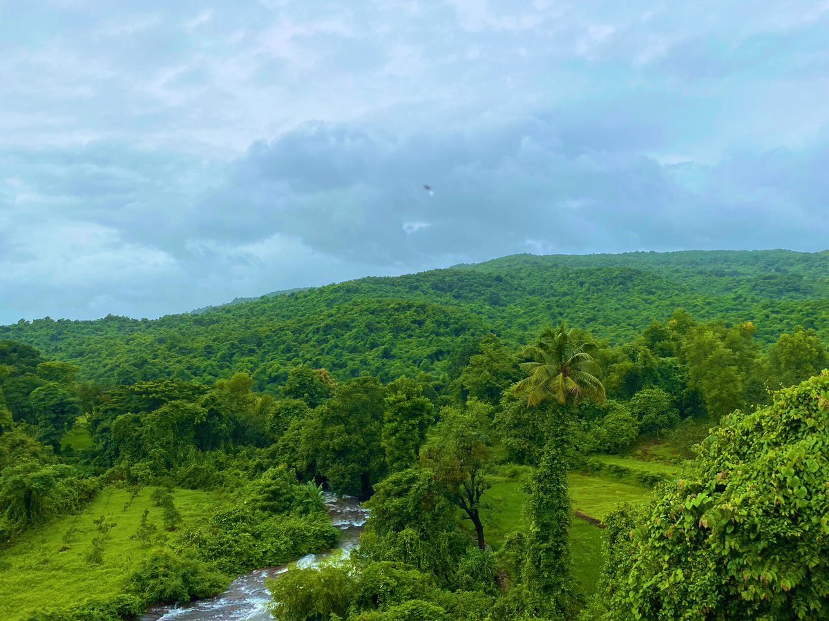 Siddharth_14's tweet photo. Enroute Goa #Goarains #WesternGhats https://t.co/J2Lj2cUGGH