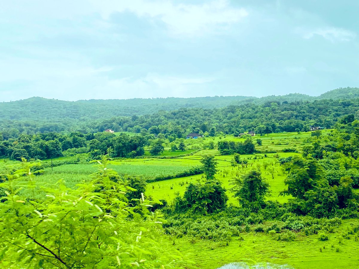 Siddharth_14's tweet photo. Enroute Goa #Goarains #WesternGhats https://t.co/J2Lj2cUGGH