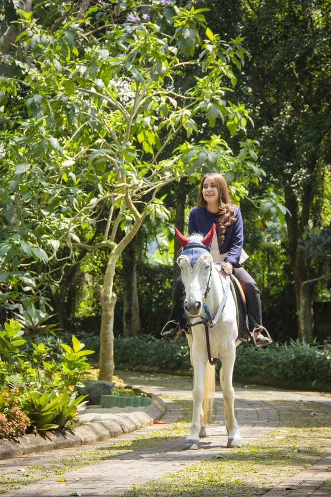 PalaceHotelCpns's tweet photo. Mengitari sambil menikmati kesejukan alam dengan berkuda di Palace Hotel Cipanas.
-
FUN ZONE
ATV - E-Bike - Archery - Riding Horse
-
FUN | GAMES | PLAY
-
#palacehotelcipanas managed by #discoveryhotelsandresorts

#horses #horseoftheday #memanahberkuda #berkudaindonesia https://t.co/FmzHIqdnz9