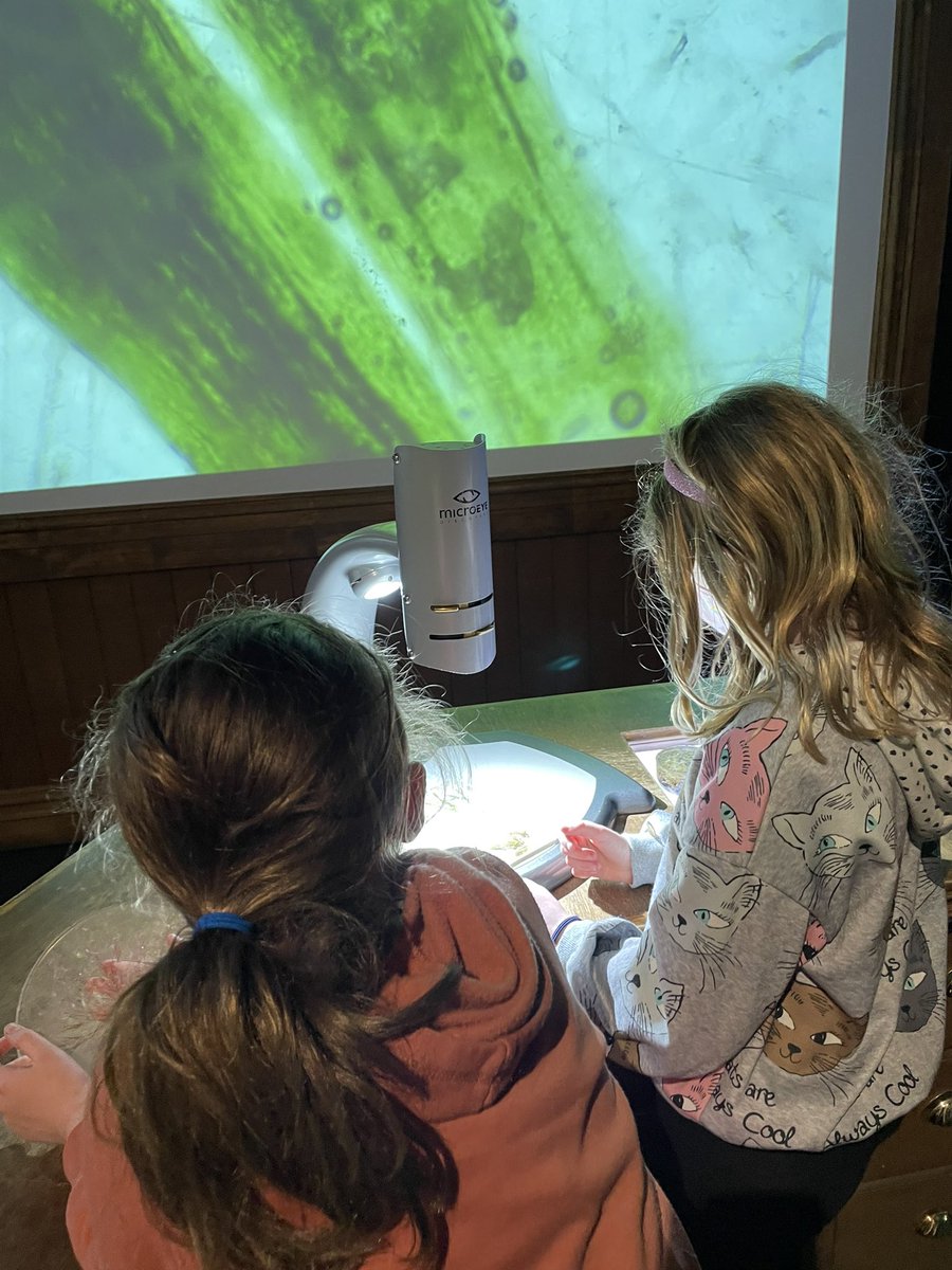joytripovich's tweet photo. To celebrate #ScienceWeek the kids and I went exploring 🔬🔭🧬 https://t.co/BQIzWJZdIm