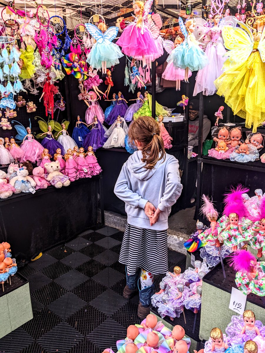 RoseMHarris's tweet photo. You can look, but don't touch.

#Ekka https://t.co/nWFEWdLUCG