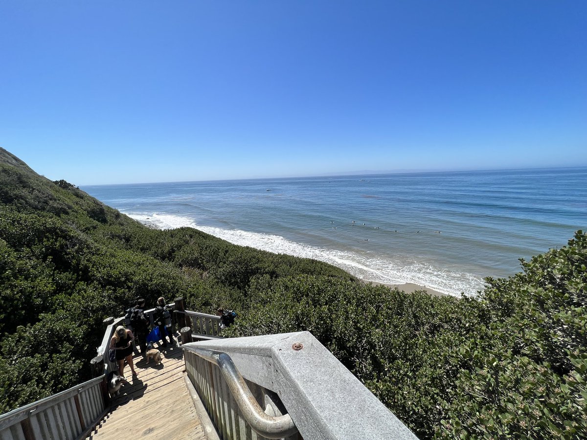 Sara Dietschy 🍑y tweet media