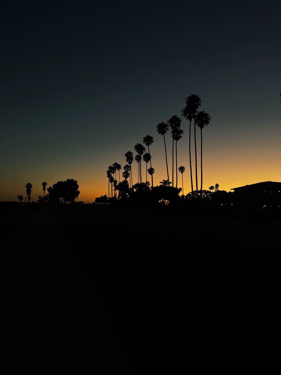 Sara Dietschy 🍑y tweet media