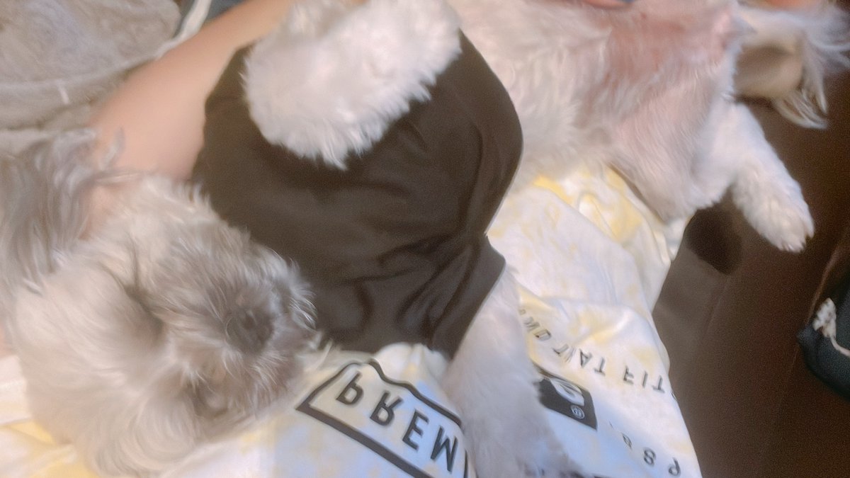 SOR_118R's tweet photo. るあの寝相悪しw https://t.co/aioTH3o7Cm