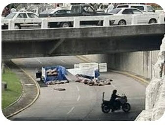 AnjoZecal's tweet photo. @gdehoyoswalther @pocopelo23 @SiPorMx @ClaudioXGG @FCN_mx @SocCivilMx @PagesBeatriz @AlternativasMx Te hagas p3n d3 j0 rata ...los gobiernos que tanto extrañas tenían al país hecho garras https://t.co/XT3736h6V1