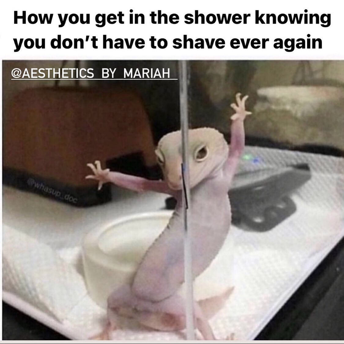 AesthexMariah's tweet photo. Waxing is always trending📈🤩

Prebook with the link in my bio☺️

#pregnantwaxing #skincare #wax #waxspecialist #bodywax #glowingskin #skintherapist #fullbodywaxing #odessatx #odessatexas #odessanews #midland #midlandtx #midlandtexas #midlandodessa #permianbasin #brazilianwax https://t.co/kkZSyHfdbX