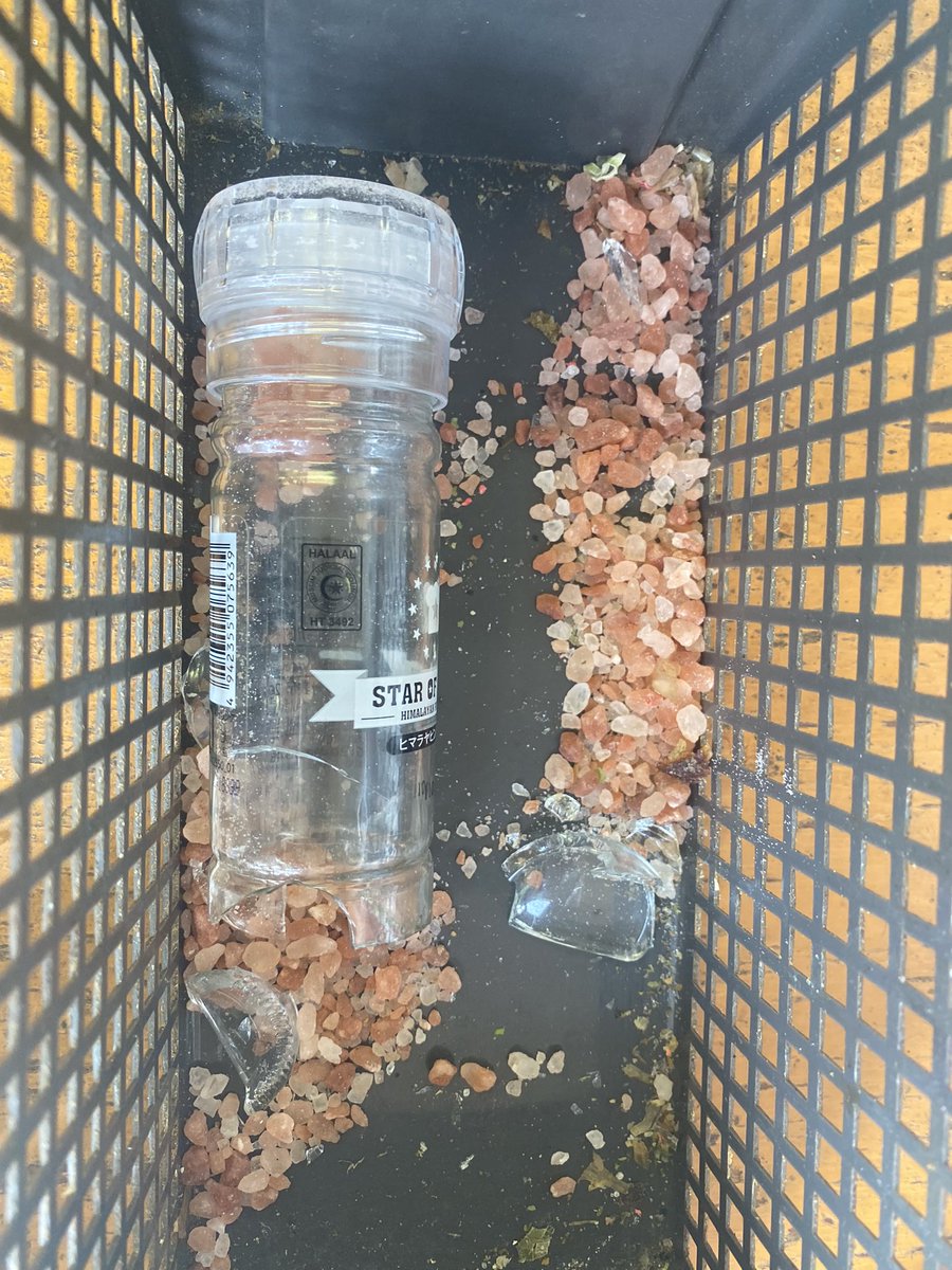Nowww😭😭

今日、岩塩なし😭
塩頼まれた方は
鳴門の塩です😭
