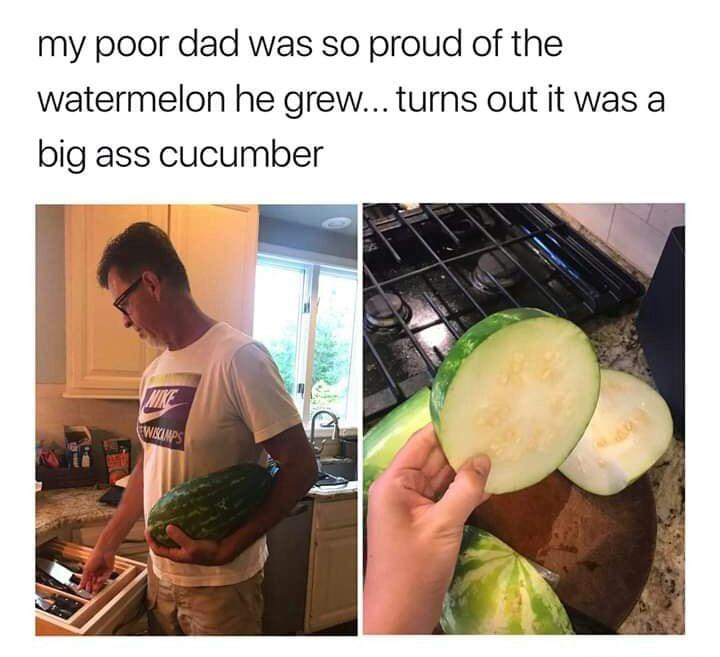 WholesomeMeme's tweet photo. https://t.co/eDu6HNBODq