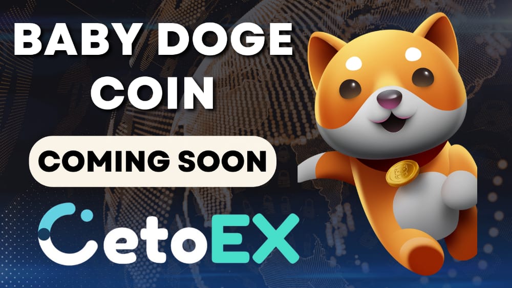 FareckF's tweet photo. #BabyDoge is listed on @Cetoex at the end of this month and I hope that #BabyDoge will be listed on @Binance this year too. https://t.co/mhfaxQwf8J