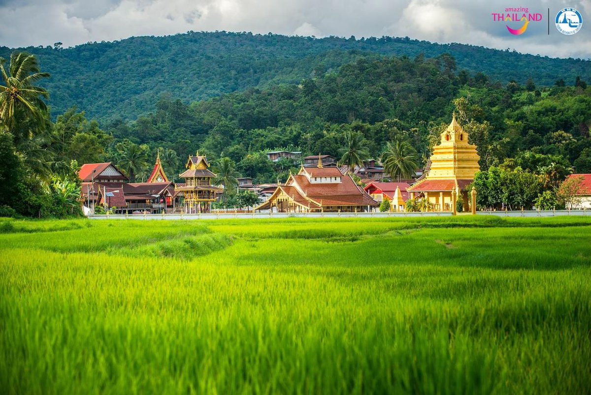 ChomSomchai's tweet photo. ไปเที่ยวเมืองเลย…อีสานเขียวเที่ยวหน้าฝน ไปเที่ยวนาแห้วไปแล้วสมหวัง https://t.co/J1KvuVCn39