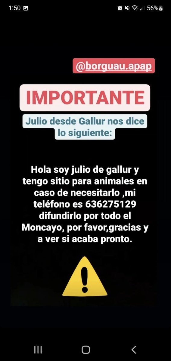 Nikita_niponga's tweet photo. Difundo esto a través del Instagram de @PATICASTAUSTE1 #IFAñónDeMoncayo https://t.co/Tyoo94mZCI