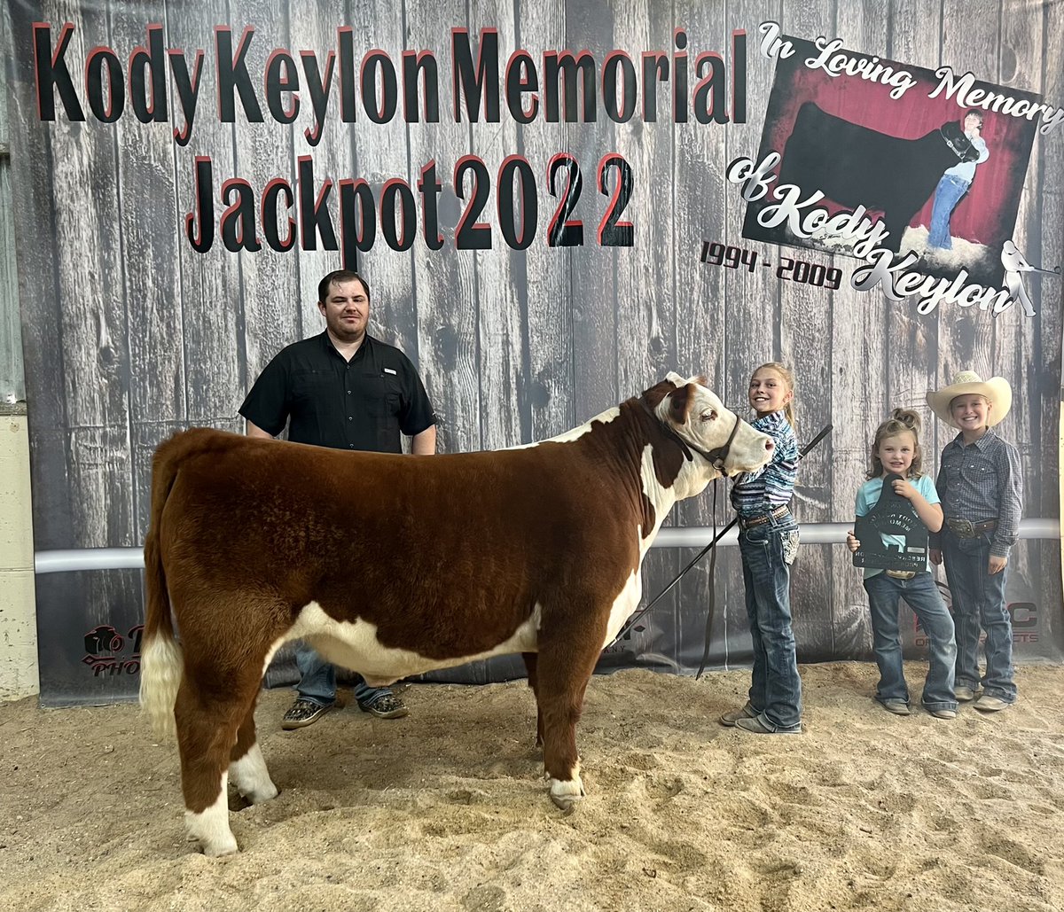 BornRanches's tweet image. Boxwell family getting it done again this weekend! Champion English in the 1st ring, Champion Hereford and Reserve Grand Overall at the Kody Keylon Memorial Jackpot! Congrats to all! #donor131 @pwroftheplains lot 11! Thanks, Jess Shirley, for your confidence in our program!