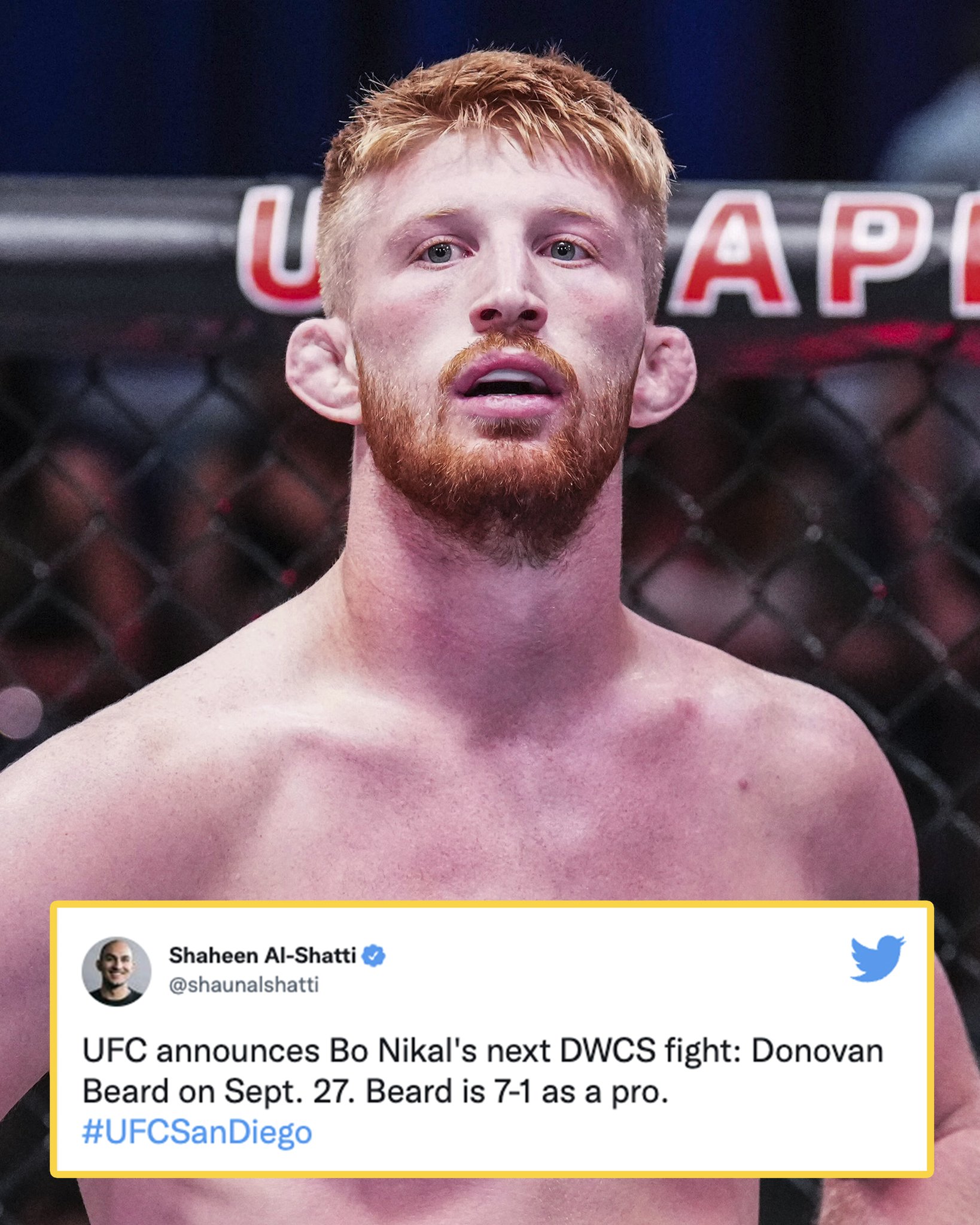 When Is Bo Nichols Next Fight