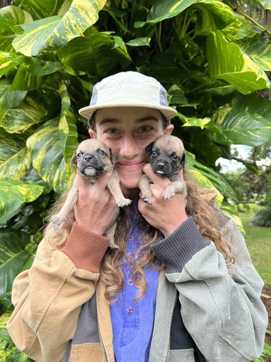 hiitaylorblake's tweet photo. Just wanted to share a pawsitive update, Bindi Bean and Terri are thriving! https://t.co/eqjXweEKjx