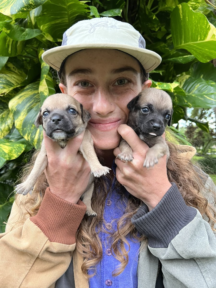 hiitaylorblake's tweet photo. Just wanted to share a pawsitive update, Bindi Bean and Terri are thriving! https://t.co/eqjXweEKjx