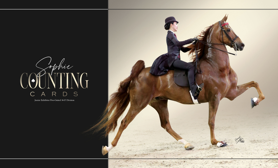 TNH1865's tweet photo. #nationalhorseman #worldschampionship #sophieyih #milestonestables #5gaited #saddlebred https://t.co/J4KrLUR06B