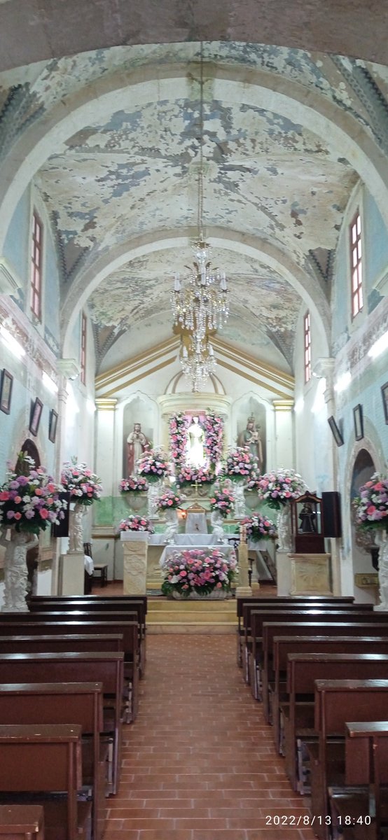 Helga Chulepin tweet media